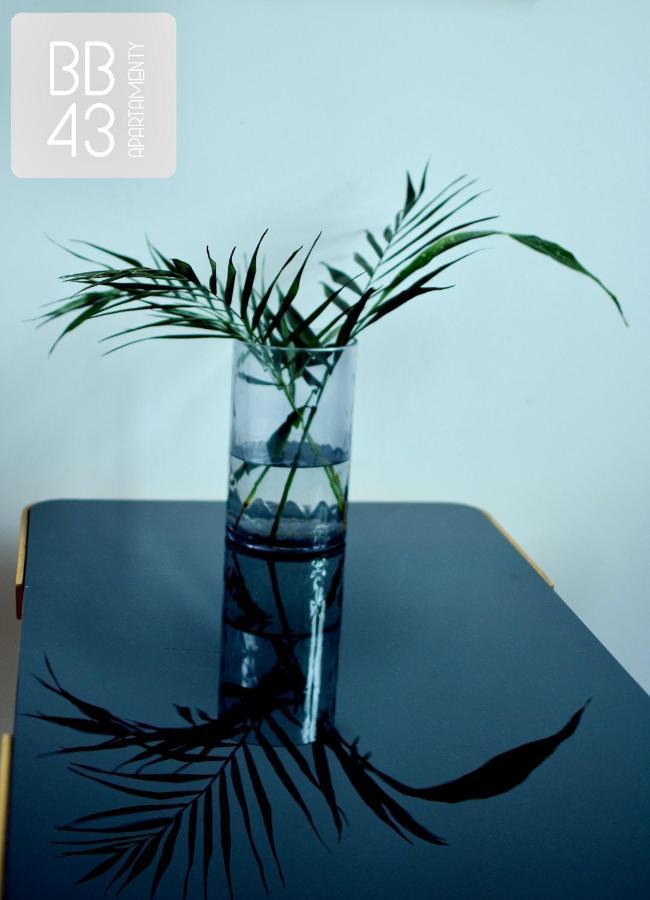 Apartamenty Bb43 Bielsko-Biała Extérieur photo